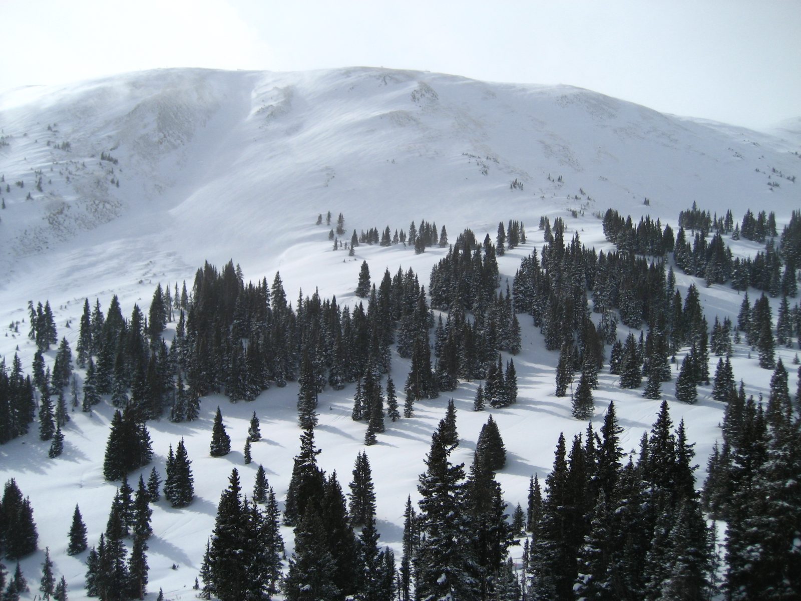 Tucker Mountain at Copper Mountain Resort